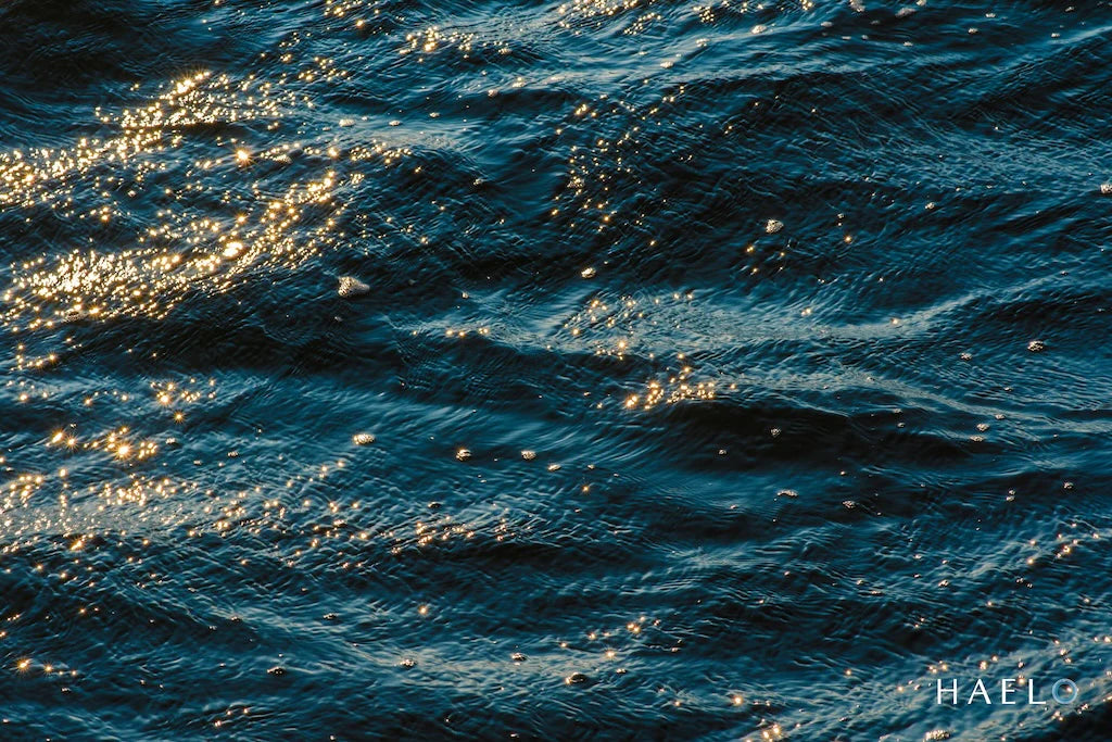 Introducing Recharge